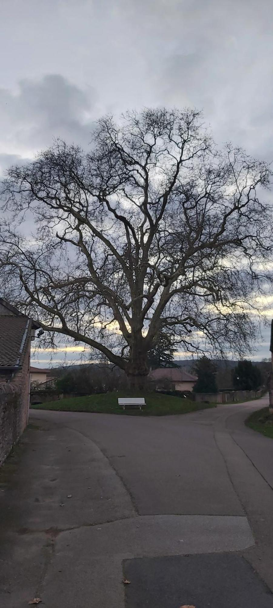 Le Gite Et Puits C'Est Tout Préty Szoba fotó